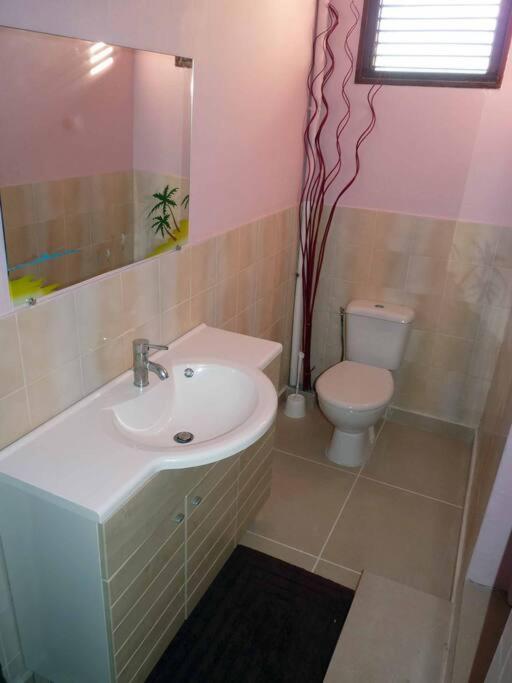 Logement Dans Un Lieu Calme Et Verdoyant A Proximite De Tout Avec Jacuzzi!!! Basse-Terre Buitenkant foto